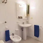 Pine Wood * ביביונה