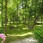 Pine Wood * Bibione